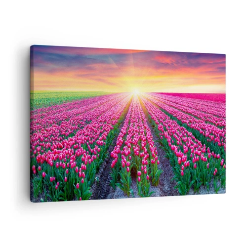 Impression sur toile - Image sur toile - Un champ de tulipes au coucher du soleil - 70x50cm - Ferme de la beauté - Décoration murale moderne pour le salon et la chambre ARTTOR