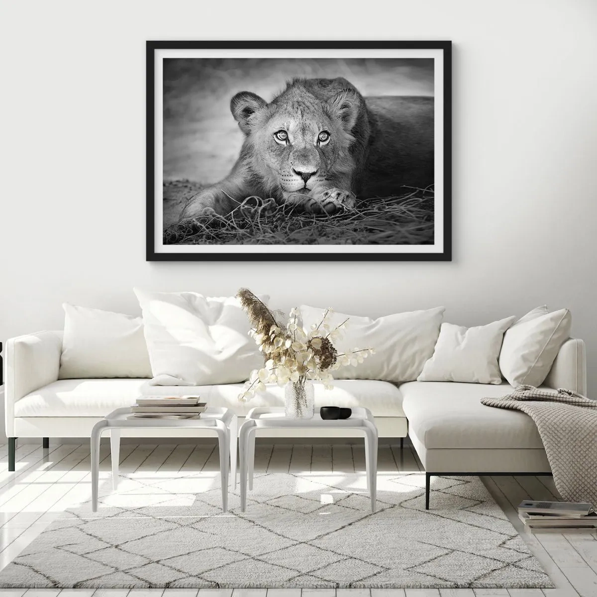 Affiche dans un cadre noir - Poster - Portrait monochrome d'un jeune lion couché - 100x70cm - Chiot royal - Décoration murale moderne pour le salon et la chambre ARTTOR
