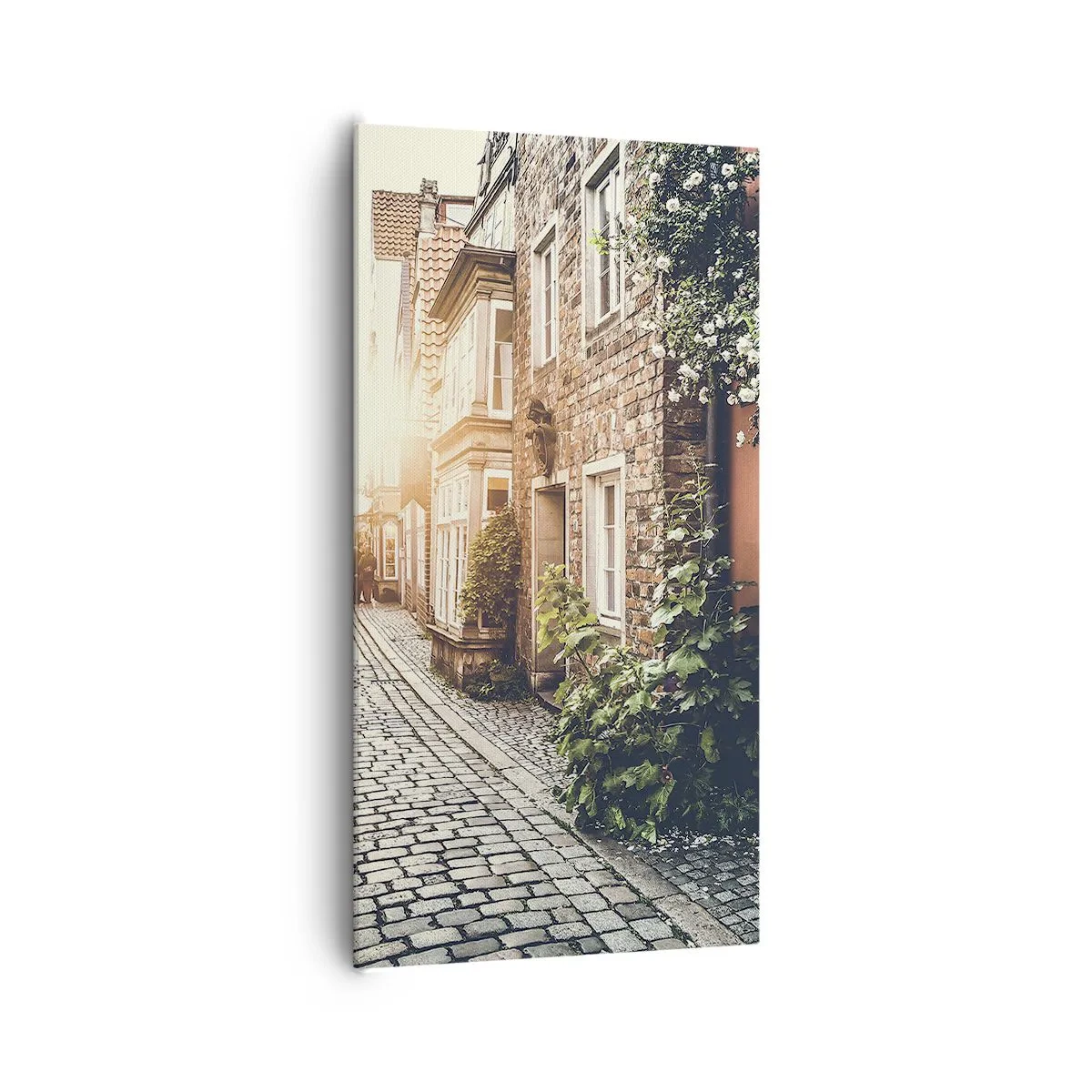 Impression sur toile - Image sur toile - Allée de roses en lueur rose - 65x120 cm