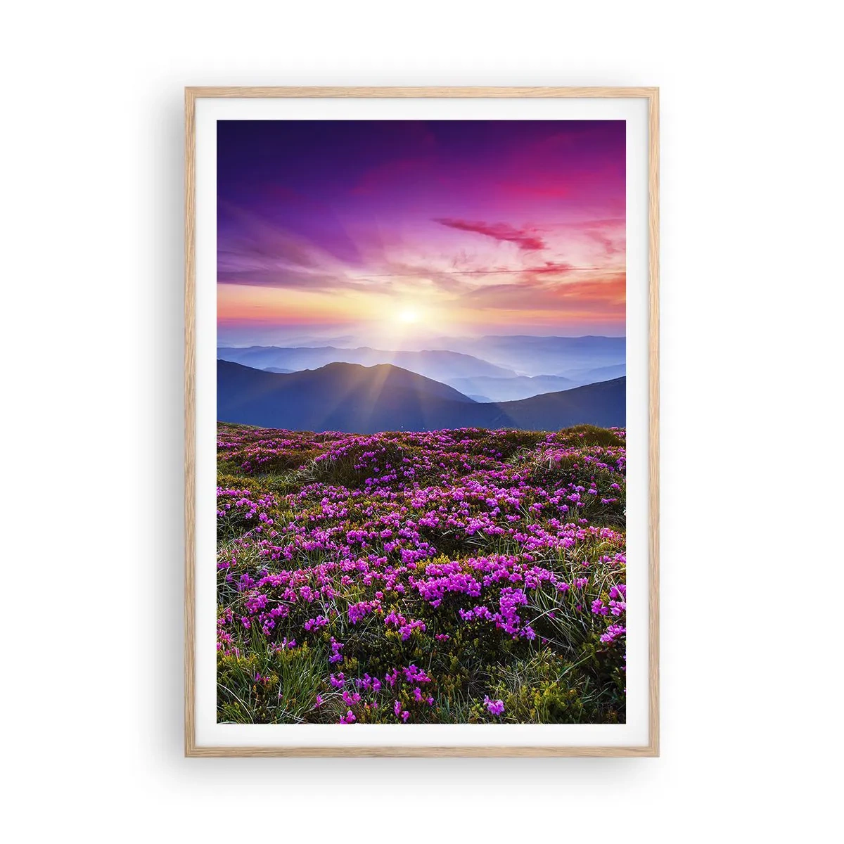 Affiche dans un chêne clair - Poster - Les herbes sentaient les grappes fraîches de la récolte - 70x100 cm