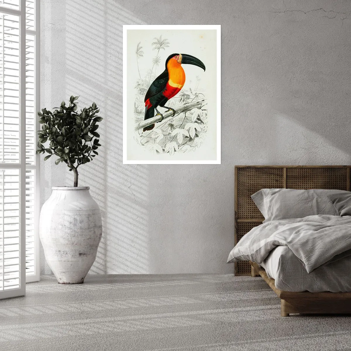 Affiche - Poster - Couleurs des oiseaux - 30x40 cm
