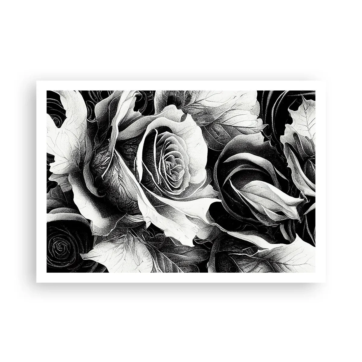 Affiche - Poster - Roses noires et blanches dans une composition élégante - 100x70cm - Toujours une reine - Décoration murale moderne pour le salon et la chambre ARTTOR