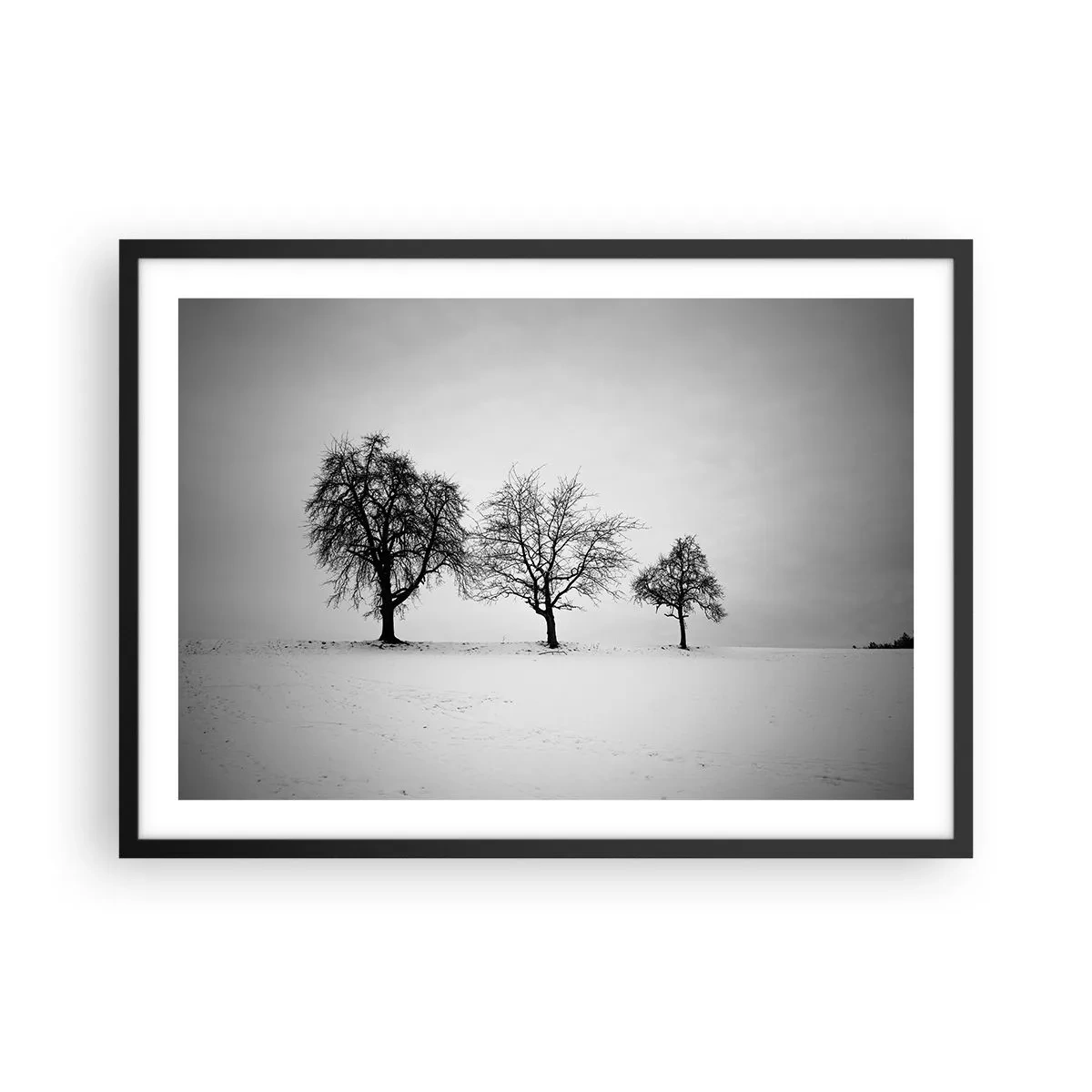 Affiche dans un cadre noir - Poster - Trois arbres dans un champ enneigé dans un style monochrome - 70x50cm - A quoi rêvent-ils? - Décoration murale moderne pour le salon et la chambre ARTTOR