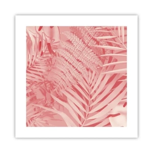 Affiche - Poster - Concept de rose - 40x40 cm