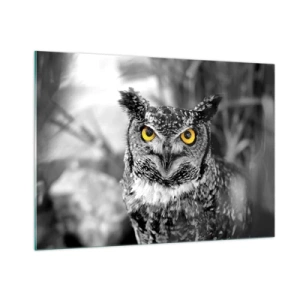 Impression sur verre - Image sur verre - Un hibou aux yeux jaunes sur fond noir et blanc - 100x70cm - Rien ne se cachera - Décoration murale moderne pour le salon et la chambre ARTTOR