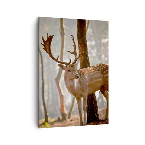 Impression sur toile - Image sur toile - Cerf dans la forêt dans le brouillard du matin - 50x70cm - La lumière de la jeunesse - Décoration murale moderne pour le salon et la chambre ARTTOR