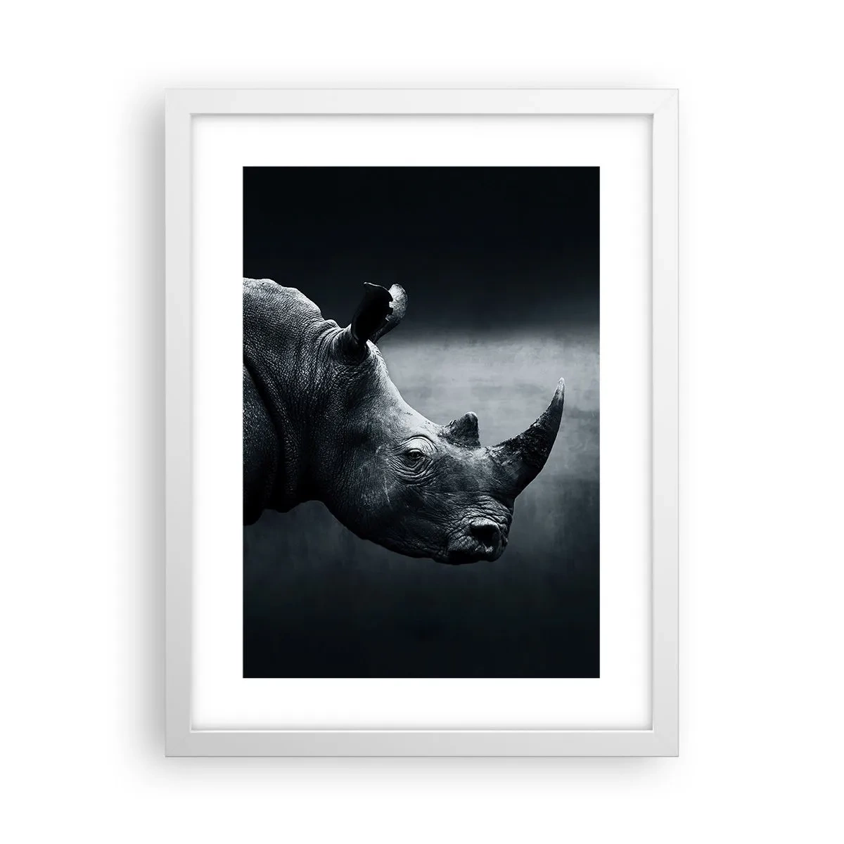 Affiche dans un cadre blanc - Poster - Le profil droit - 30x40 cm