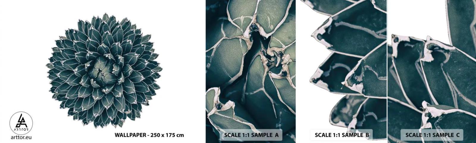 Échantillon De Papier Peint Standard Eco - Étoile du désert - Cactus, Agave, Graphique - 100x30 cm