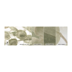 Échantillon de Papier Peint Premium Sand - Au commencement il y avait des feuilles... - Fleurs, Calme, Feuilles - 100x30 cm