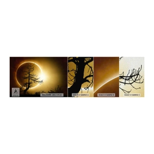 Échantillon de Papier Peint Premium Canvas - Éclipse totale - Éclipse, Arbre, Paysage - 100x30 cm