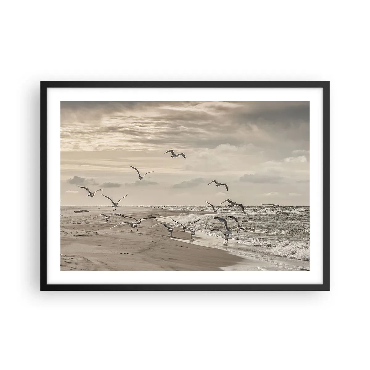 Affiche dans un cadre noir - Poster - Une mouette en vol au-dessus d'un paysage balnéaire - 70x50cm - Le bruit de la mer, le chant des oiseaux - Décoration murale moderne pour le salon et la chambre ARTTOR