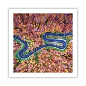 Affiche - Poster - Route sinueuse à travers la forêt - 50x50 cm