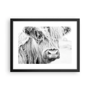 Affiche dans un cadre noir - Poster - Sauvagerie écossaise - 40x30 cm