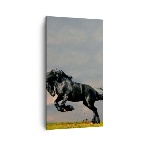 Impression sur toile - Image sur toile - Beau et libre - 45x80 cm