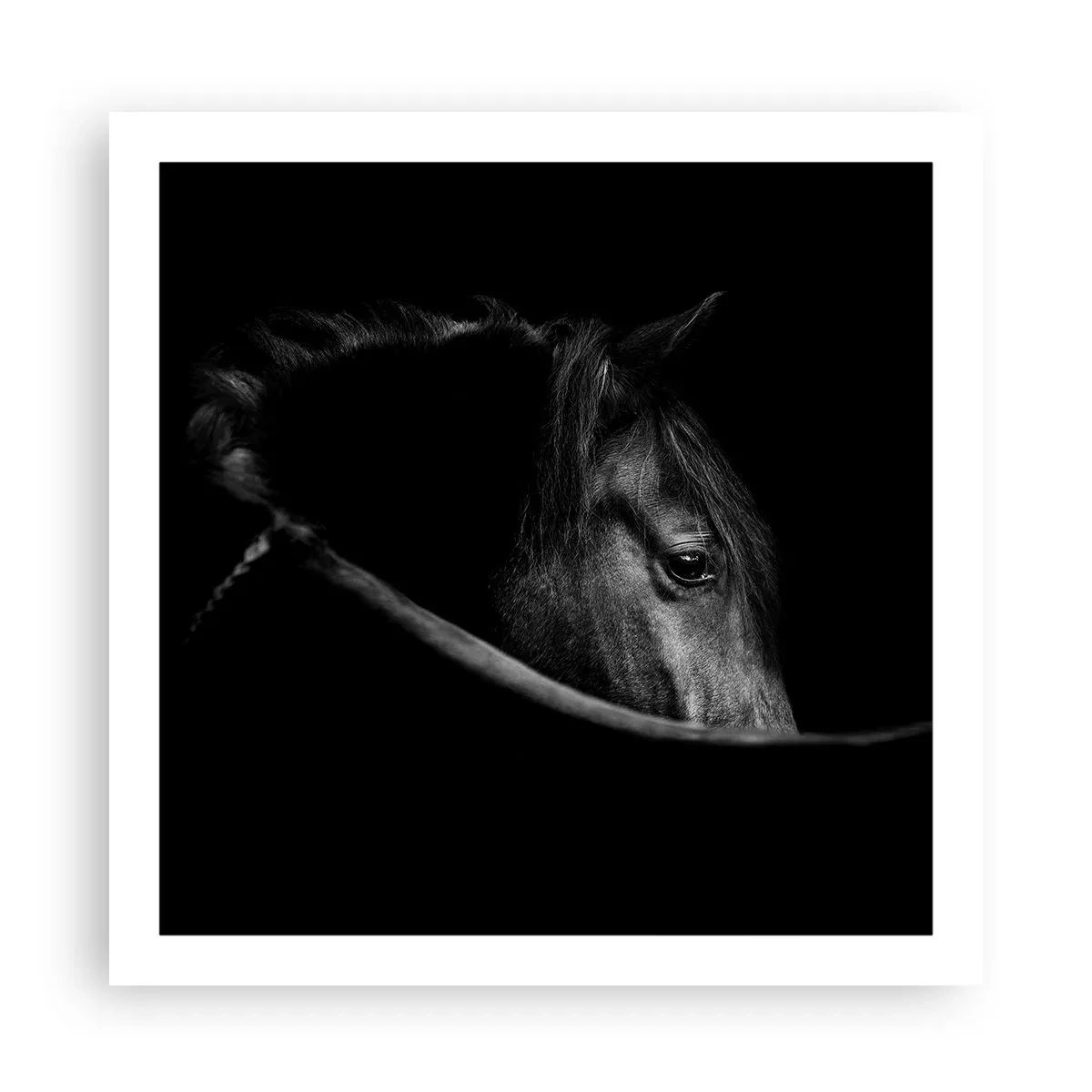 Affiche - Poster - Prince Noir - 60x60 cm