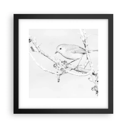 Affiche dans un cadre noir - Poster - Matin d'hiver - 30x30 cm