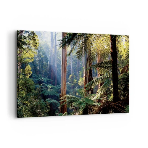 Impression sur toile - Image sur toile - Forêt tropicale illuminée par les rayons du soleil - 120x80cm - Fable de la forêt - Décoration murale moderne pour le salon et la chambre ARTTOR