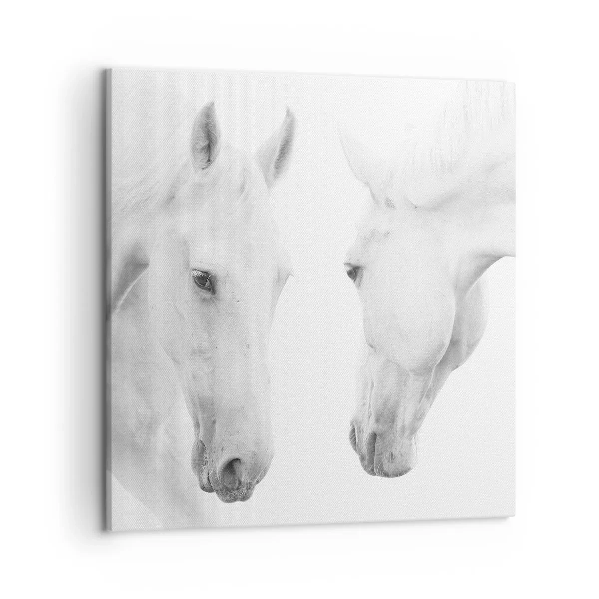 Impression sur toile - Image sur toile - Serait-ce de l’amitié? - 50x50 cm