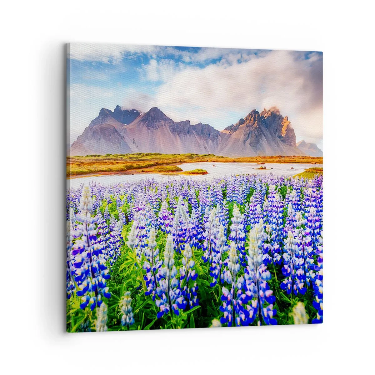 Impression sur toile - Image sur toile - La force et l'austérité côtoient la douceur - 60x60 cm