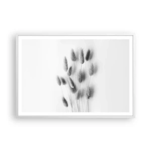Affiche dans un cadre blanc - Poster - Son herbe duveteuse - 100x70 cm