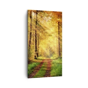 Impression sur toile - Image sur toile - Silence d'or en forêt - 45x80 cm