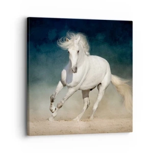 Impression sur toile - Image sur toile - La liberté à l'état pur - 30x30 cm