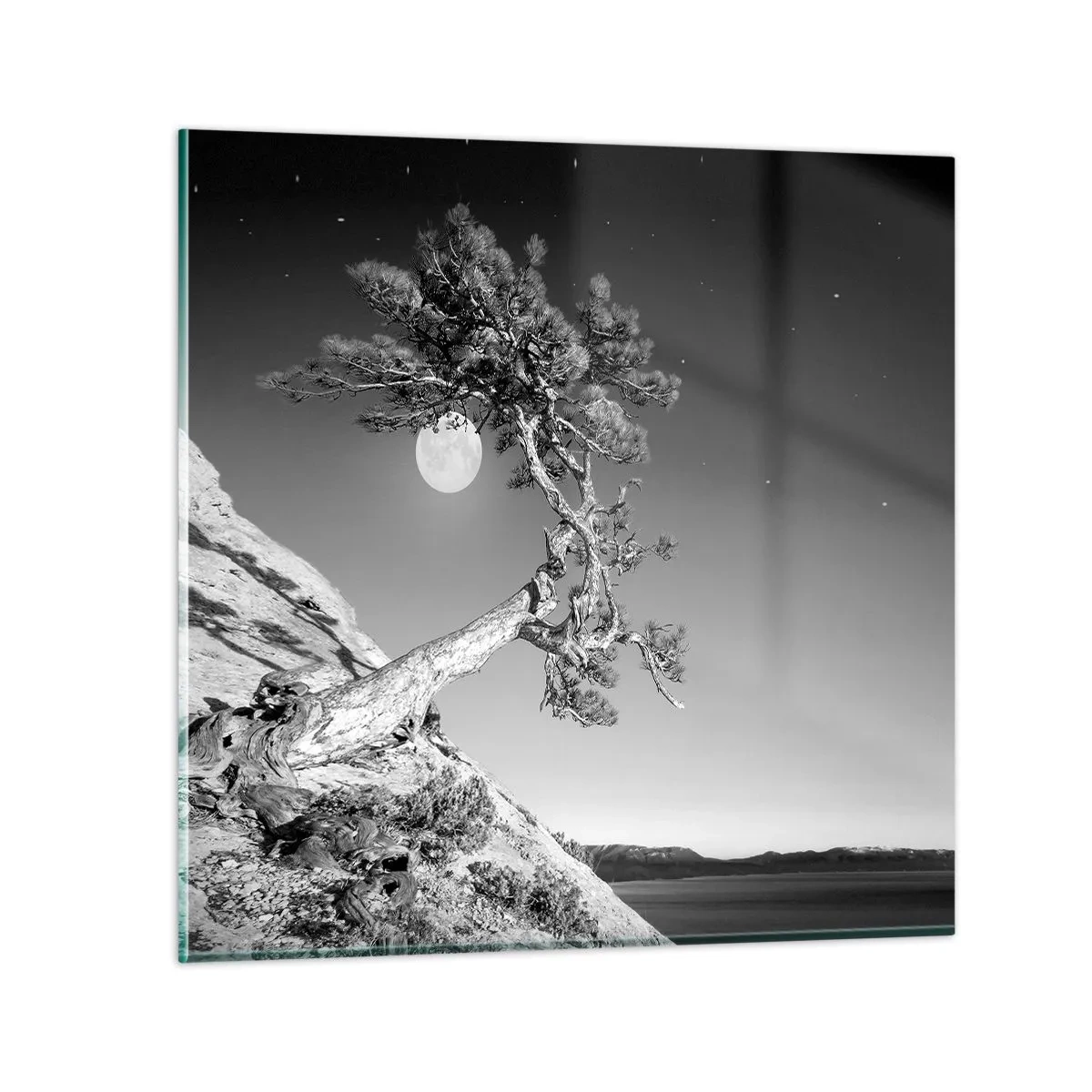 Impression sur verre - Image sur verre - Un combattant vainqueur - 70x70 cm