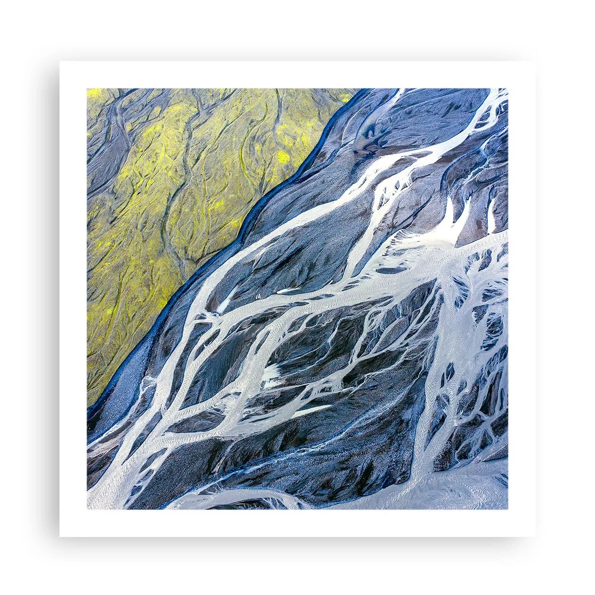 Affiche - Poster - Peintures rupestres de la nature - 60x60 cm