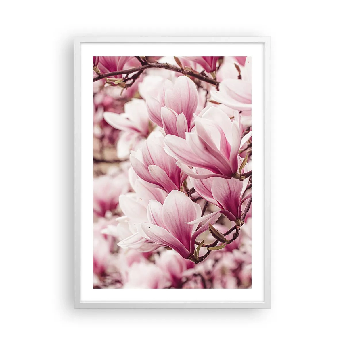 Affiche dans un cadre blanc - Poster - Le printemps est rose - 50x70 cm