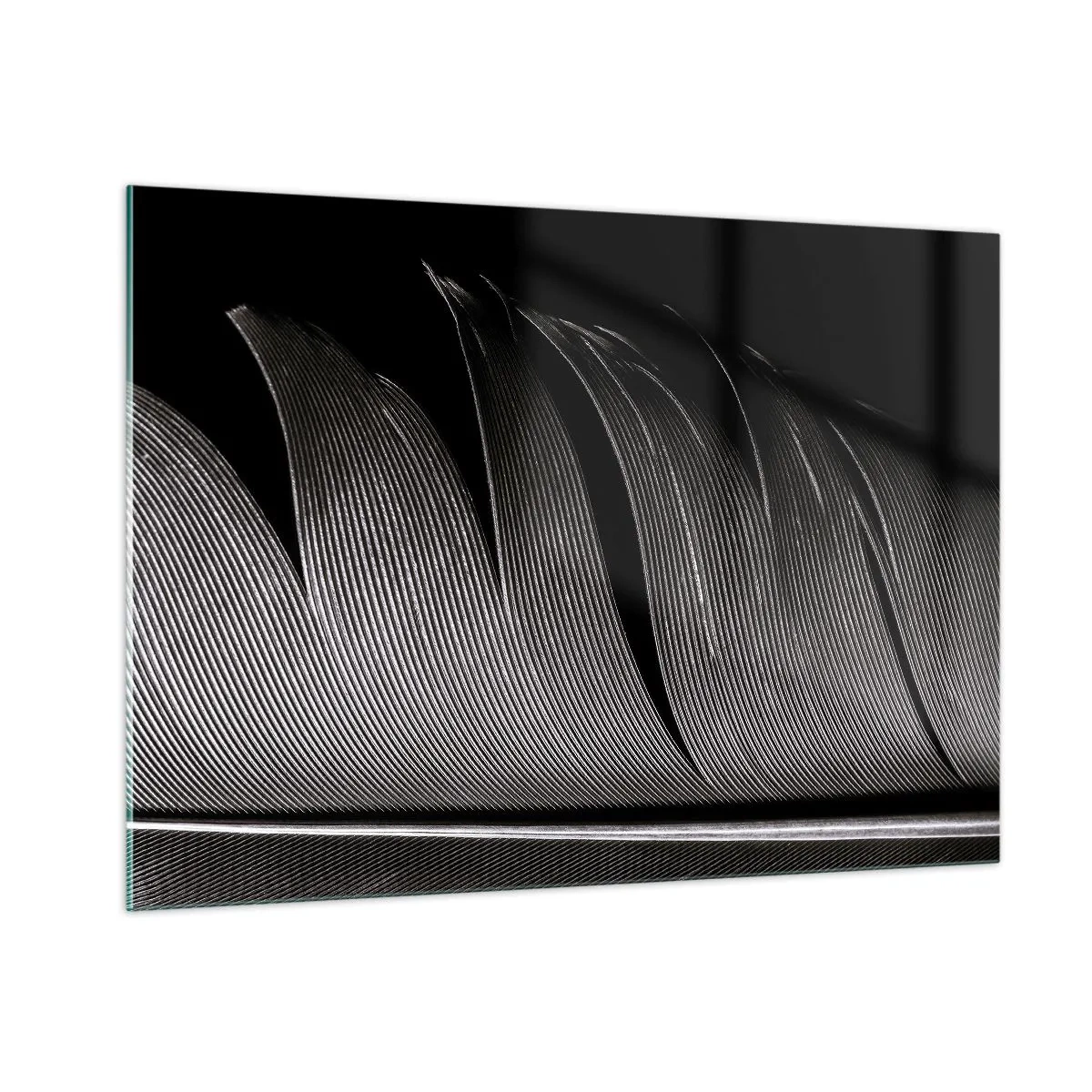 Impression sur verre - Image sur verre - Gros plan noir et blanc d'une plume présentée sous une lumière contrastée. - 100x70cm - La plume – un design magnifique - Décoration murale moderne pour le salon et la chambre ARTTOR