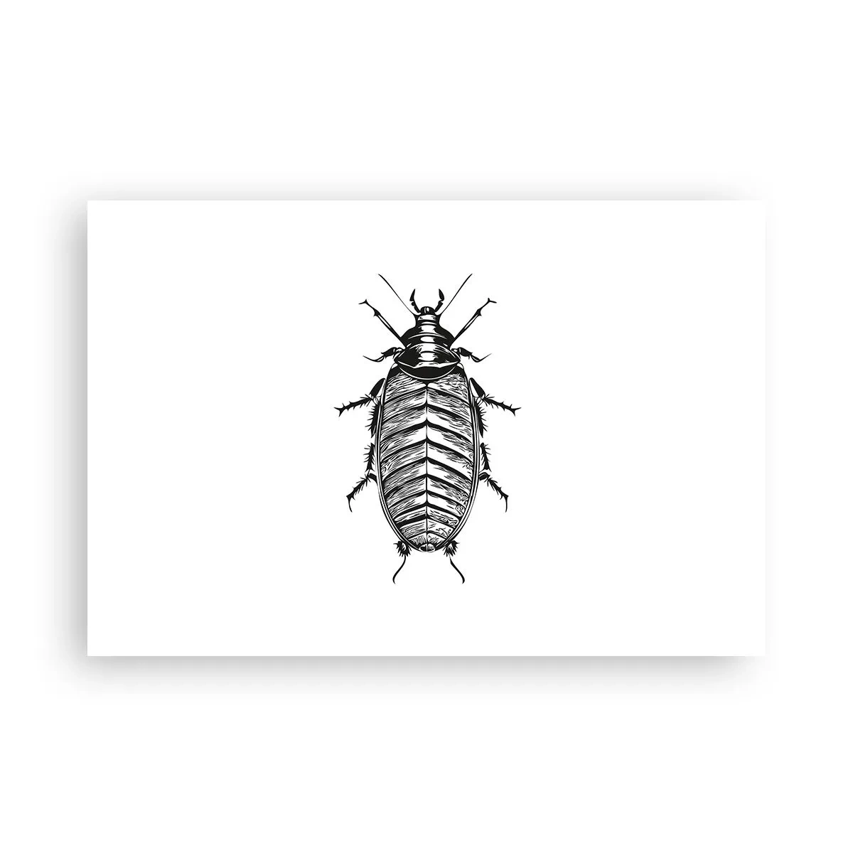 Affiche - Poster - Quel spécimen! - 91x61 cm