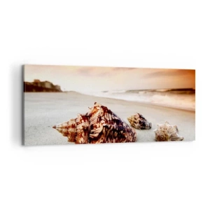 Impression sur toile - Image sur toile - Coquillages sur la plage au coucher du soleil - 120x50cm - Les parias des vagues - Décoration murale moderne pour le salon et la chambre ARTTOR