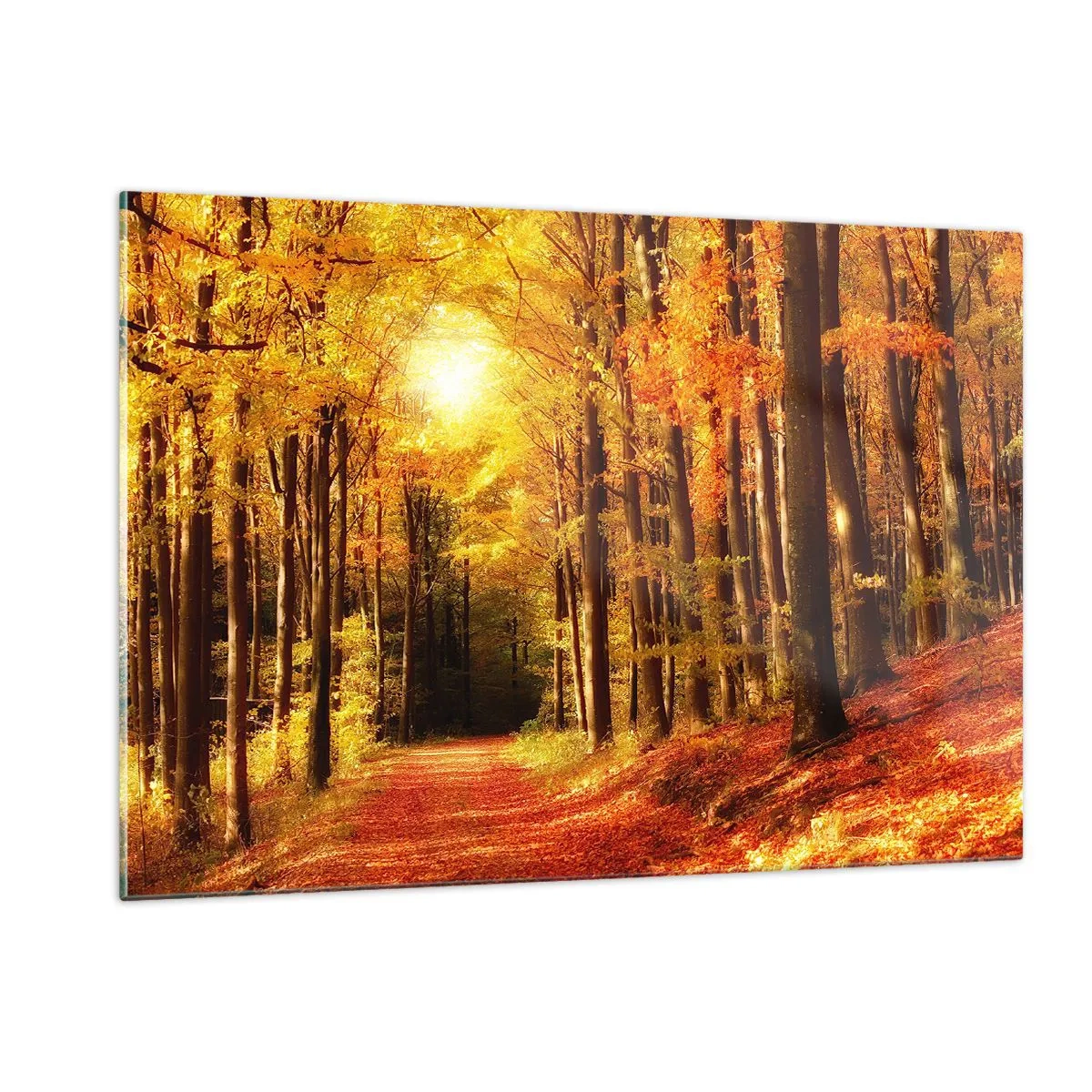 Impression sur verre - Image sur verre - Forêt d'automne baignée de soleil doré - 120x80cm - Automne doré sur une route forestière - Décoration murale moderne pour le salon et la chambre ARTTOR