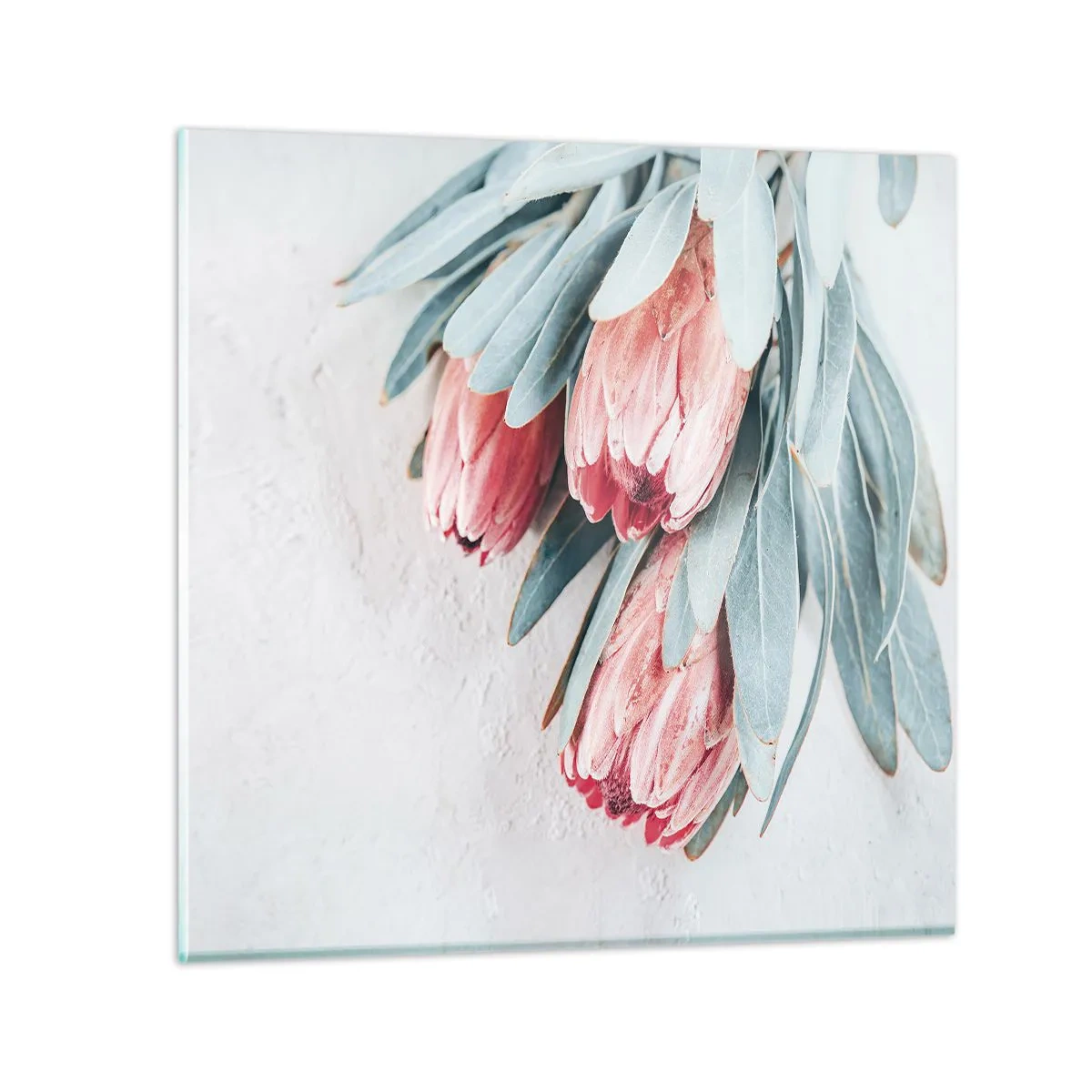 Impression sur verre - Image sur verre - Honte de leur propre beauté - 70x70 cm