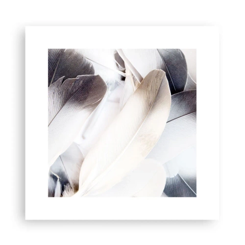 Affiche - Poster - Presque angélique - 30x30 cm