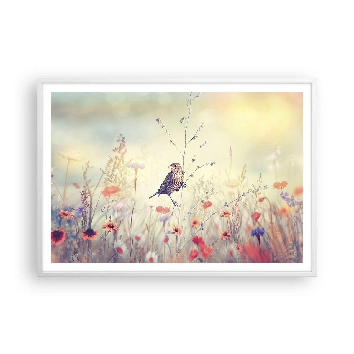 Affiche dans un cadre blanc - Poster - Portrait d'oiseau sur pré en fond - 100x70 cm