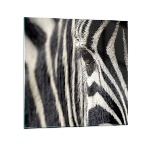 Impression sur verre - Image sur verre - Portrait en rayure - 50x50 cm