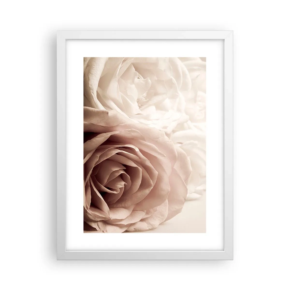 Affiche dans un cadre blanc - Poster - Au coeur d'ue la rose - 30x40 cm