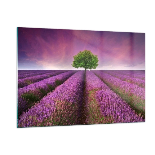 Impression sur verre - Image sur verre - Un champ de lavande avec un arbre solitaire contre le ciel - 120x80cm - Dans un champs de lavande - Décoration murale moderne pour le salon et la chambre ARTTOR