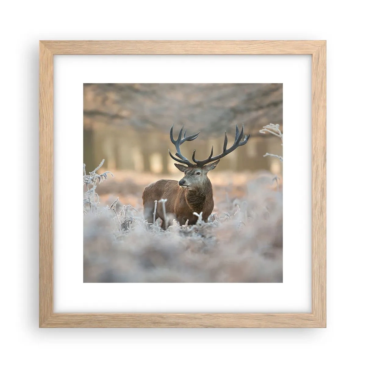 Affiche dans un chêne clair - Poster - Une matinée animée - 30x30 cm