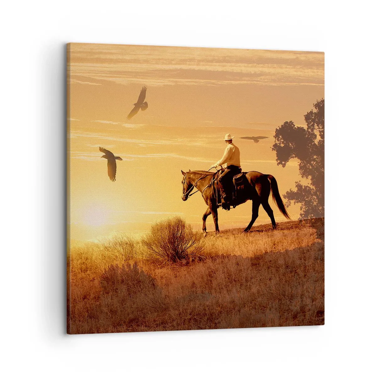 Impression sur toile - Image sur toile - Seul à travers la prairie - 50x50 cm