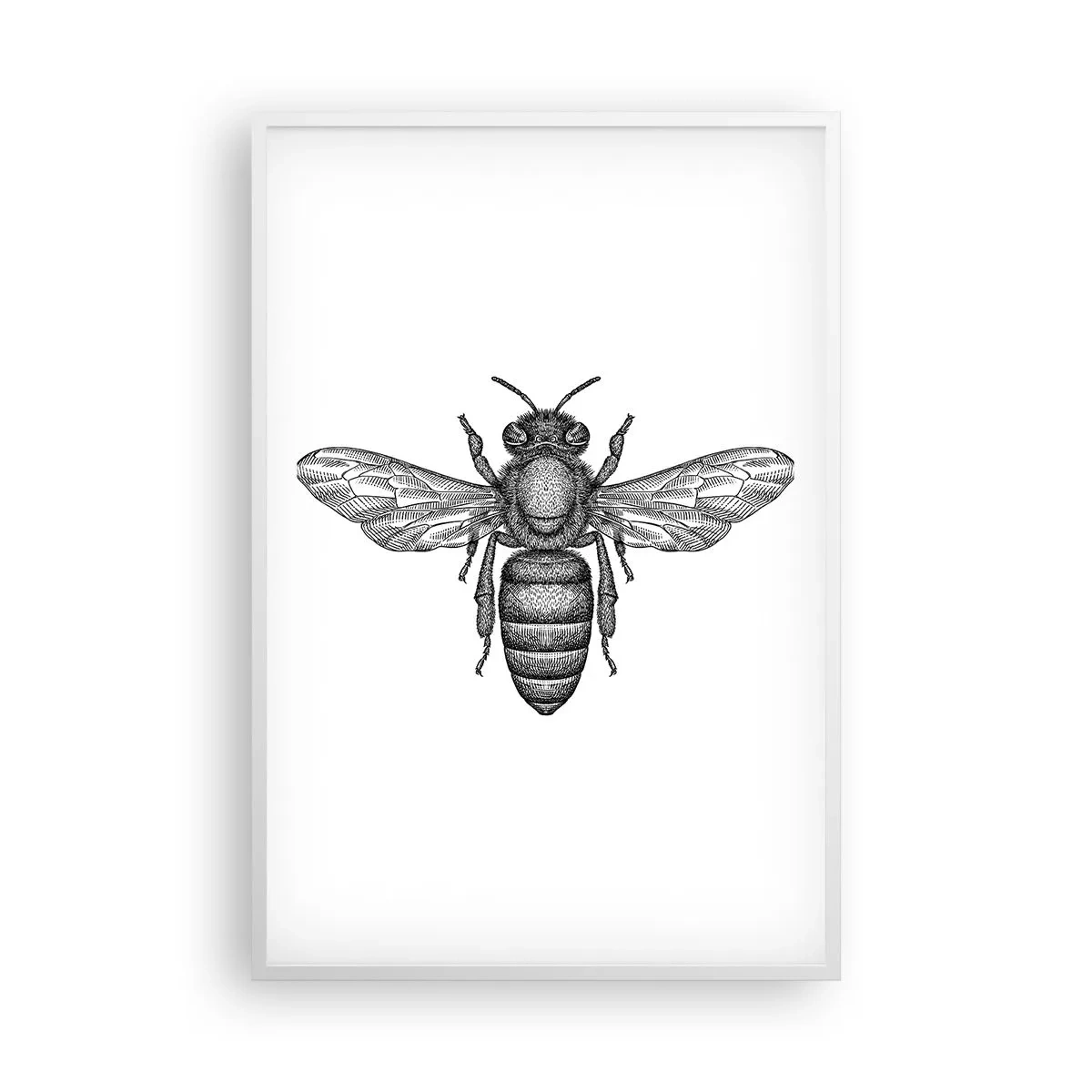 Affiche dans un cadre blanc - Poster - Portrait d'insecte - 61x91 cm