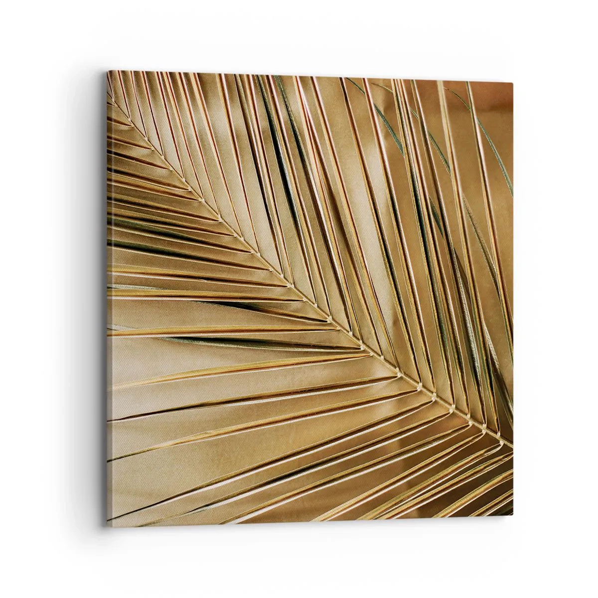 Impression sur toile - Image sur toile - Colonnade naturelle - 70x70 cm