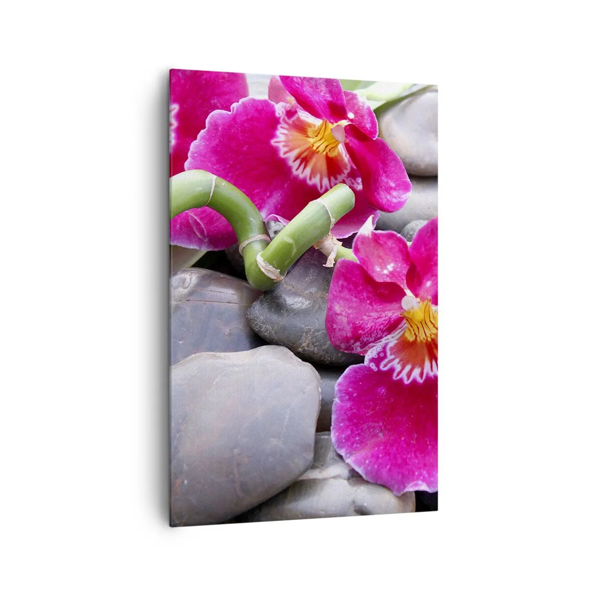 Impression sur toile - Image sur toile - Orchidées roses sur fond de pierres lisses - 80x120cm - Refroidir et chauffer - Décoration murale moderne pour le salon et la chambre ARTTOR