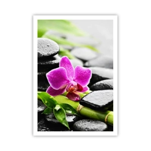 Affiche - Poster - Dans un équilibre de calme - 70x100 cm