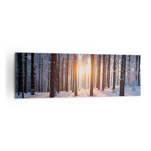 Impression sur toile - Image sur toile - Forêt d'hiver illuminée par les rayons du soleil - 160x50cm - Clairement en noir et blanc - Décoration murale moderne pour le salon et la chambre ARTTOR