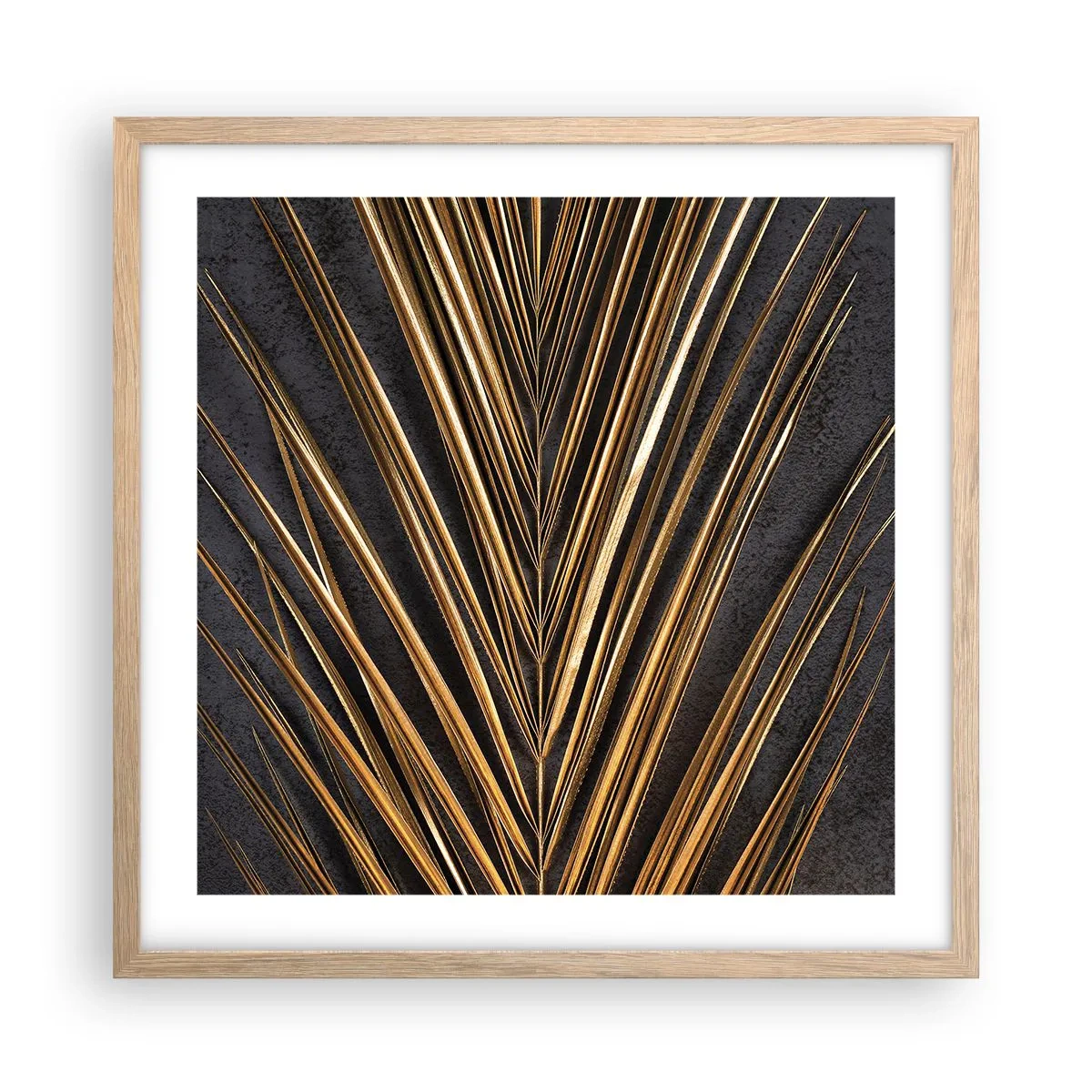 Affiche dans un chêne clair - Poster - L'or des tropiques - 50x50 cm