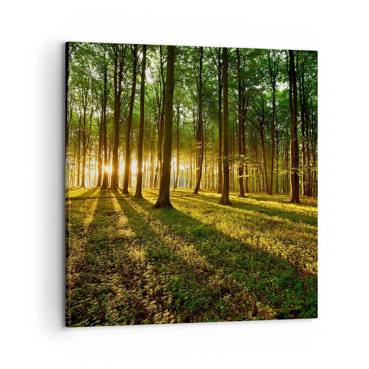 Impression sur toile - Image sur toile - Toutes les photographies de printemps - 60x60 cm