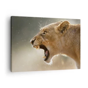 Impression sur toile - Image sur toile - Portrait d'une lionne rugissante à la lumière naturelle - 70x50cm - Essayez  de ne pas écouter - Décoration murale moderne pour le salon et la chambre ARTTOR