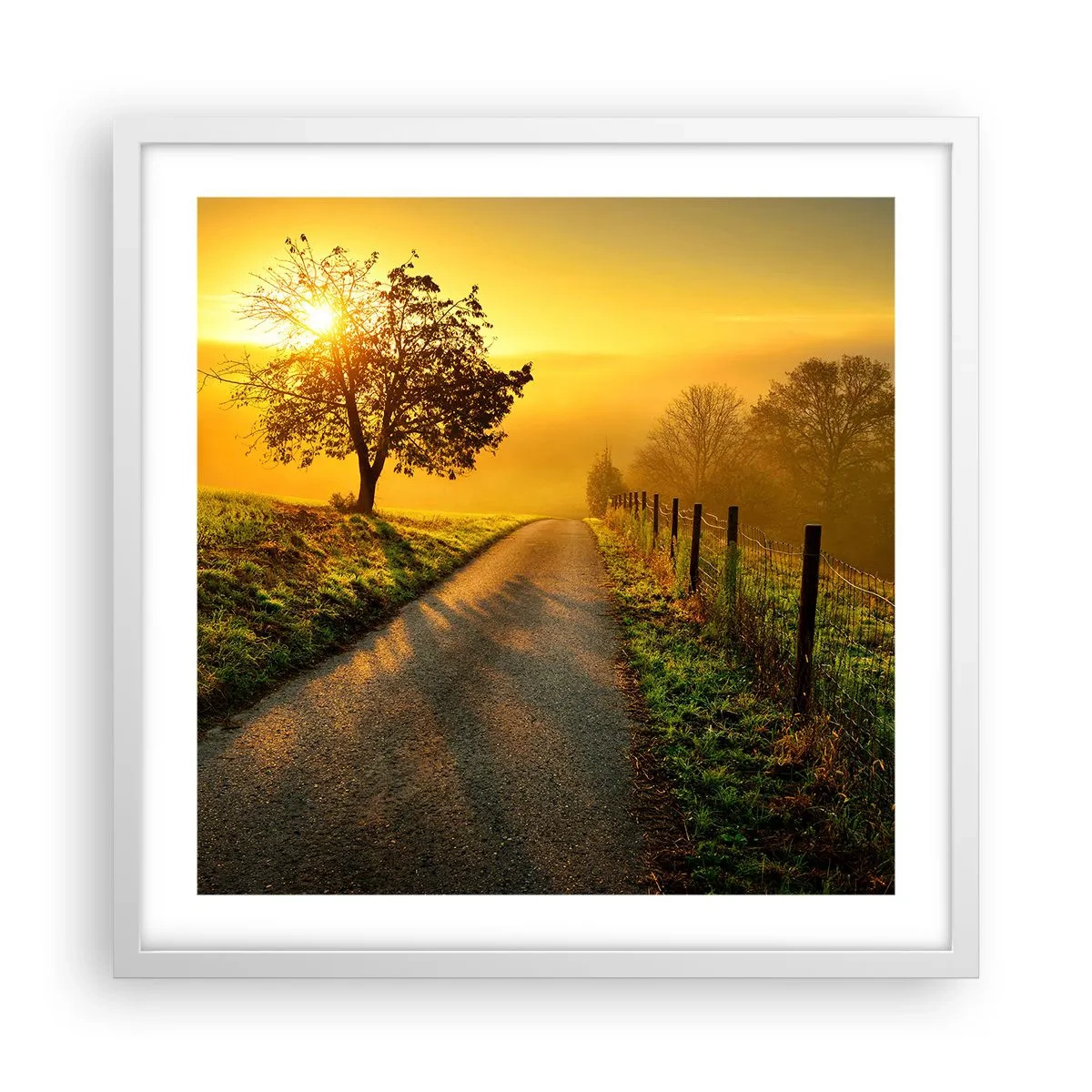 Affiche dans un cadre blanc - Poster - Après-midi de miel - 50x50 cm